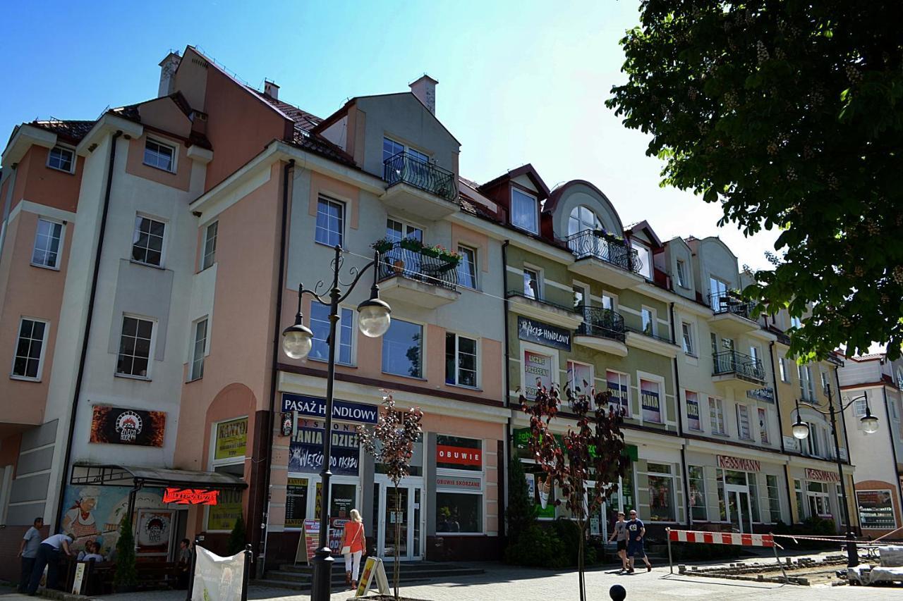 Apartament Usmiech Ustrzyki Dolne Luaran gambar